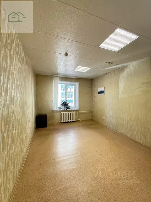 Офис в Воронежская область, Воронеж ул. Варейкиса, 9 (20 м) - Фото 1