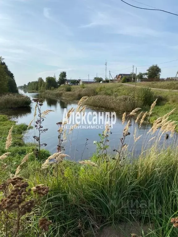 Участок в Ленинградская область, Сясьстрой Волховский район, д. ... - Фото 1
