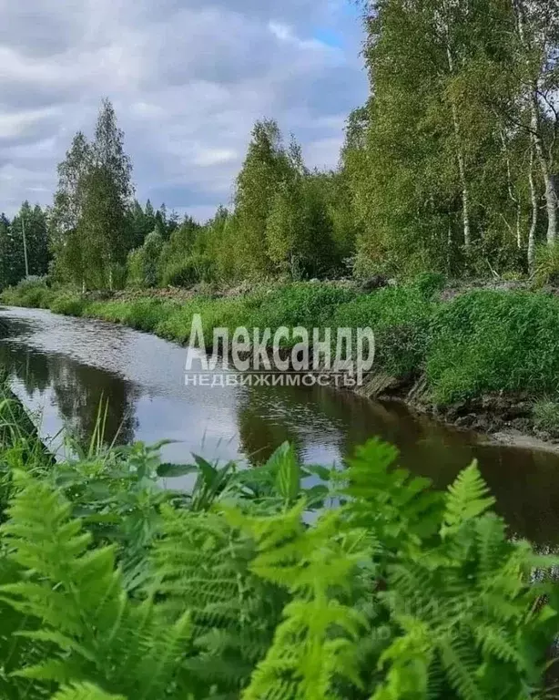 Участок в Ленинградская область, Выборгский район, Приморское ... - Фото 0