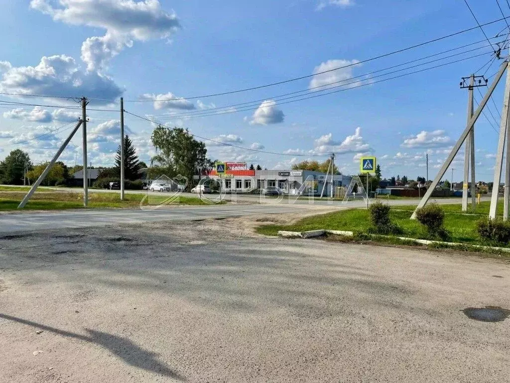 Участок в Тюменская область, Тюменский муниципальный округ, с. Каменка ... - Фото 2