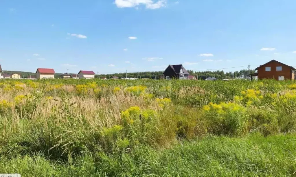 Участок в Нижегородская область, Богородский муниципальный округ, д. ... - Фото 0