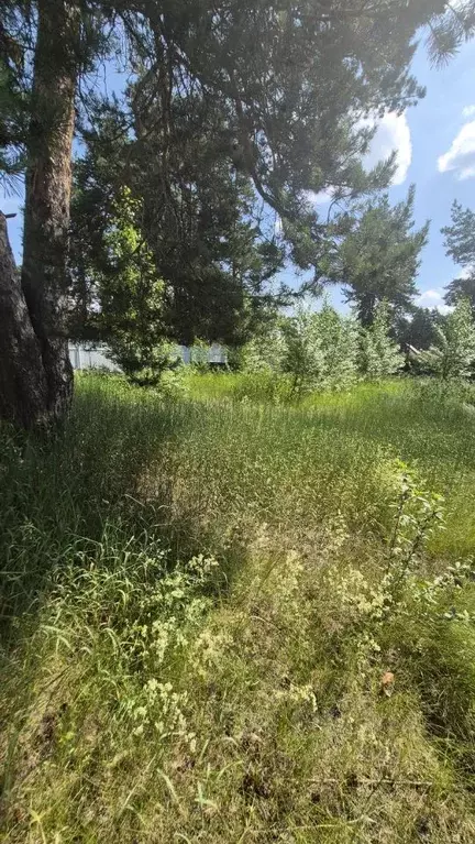 Участок в Чувашия, Чебоксары городской округ, Сосновка пгт, пос. ... - Фото 2