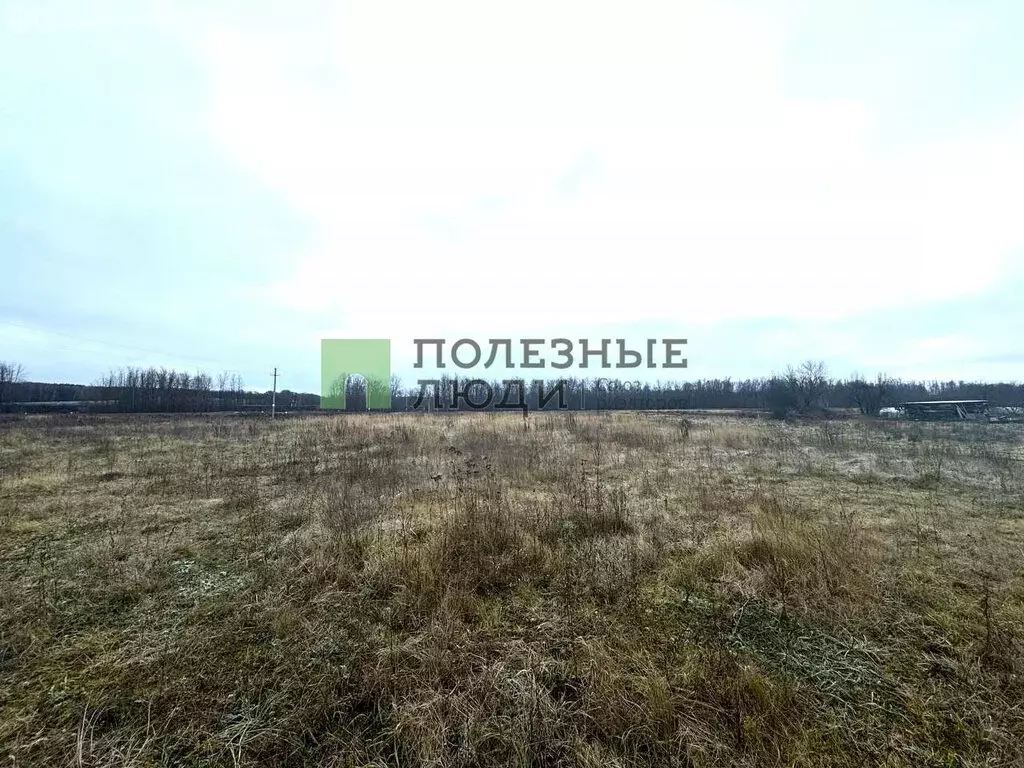 Участок в Орловский муниципальный округ, деревня Новая Слободка, 1Б ... - Фото 1