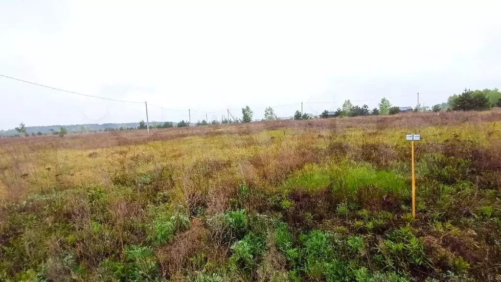 Участок 12,5 сот. (ИЖС) - Фото 0