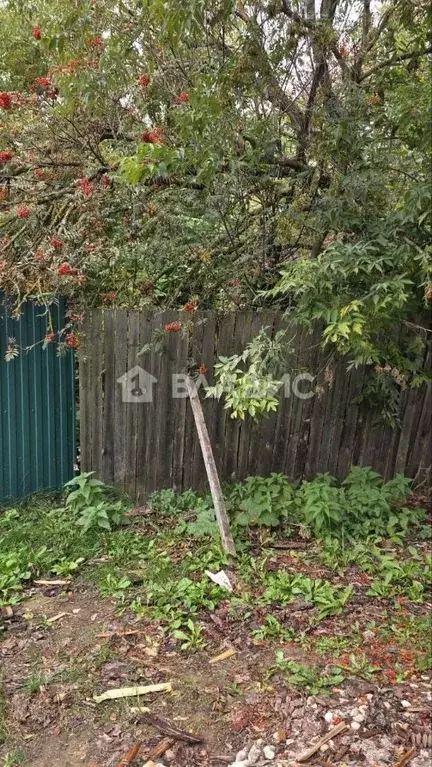 Участок в Владимирская область, Судогодский район, с. Мошок ул. ... - Фото 2