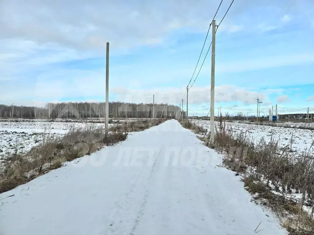 Участок в Свердловская область, Тугулымский муниципальный округ, с. ... - Фото 2