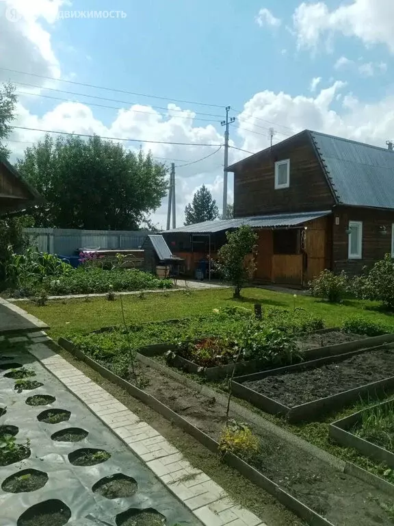 Дом в Бердск, СНТ Росинка, 14-я улица, 2 (54.8 м) - Фото 2