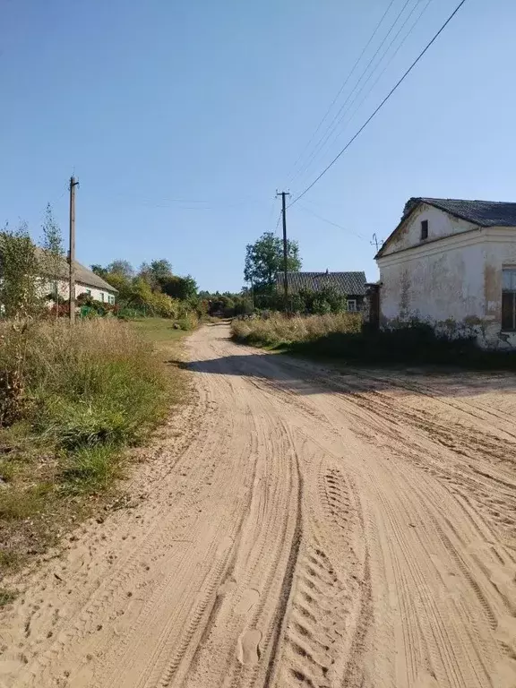 Участок в Новгородская область, Крестецкий муниципальный округ, д. ... - Фото 1