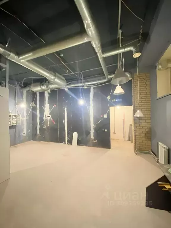 Помещение свободного назначения в Новосибирская область, Новосибирск ... - Фото 1