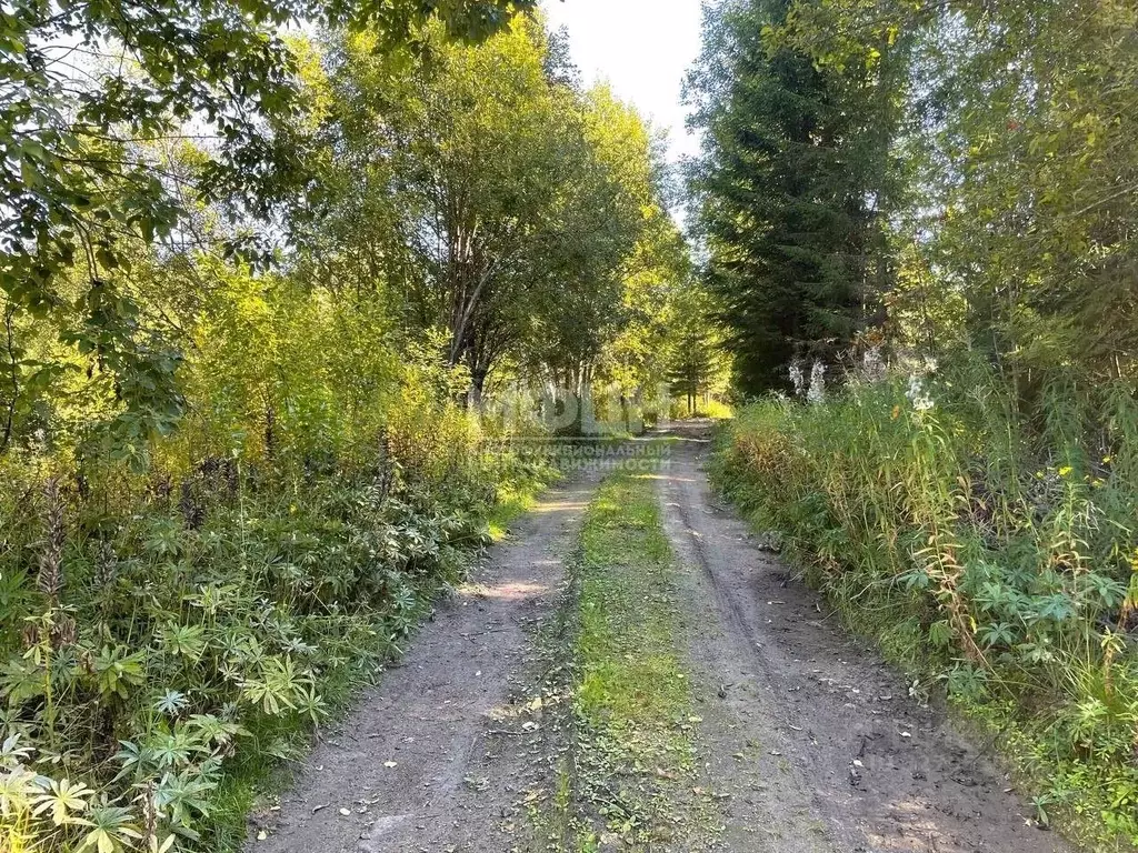 Участок в Карелия, Прионежский район, Нововилговское с/пос, ... - Фото 2