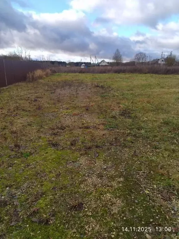 Участок в Ленинградская область, Волосовский район, Калитинское с/пос, ... - Фото 2