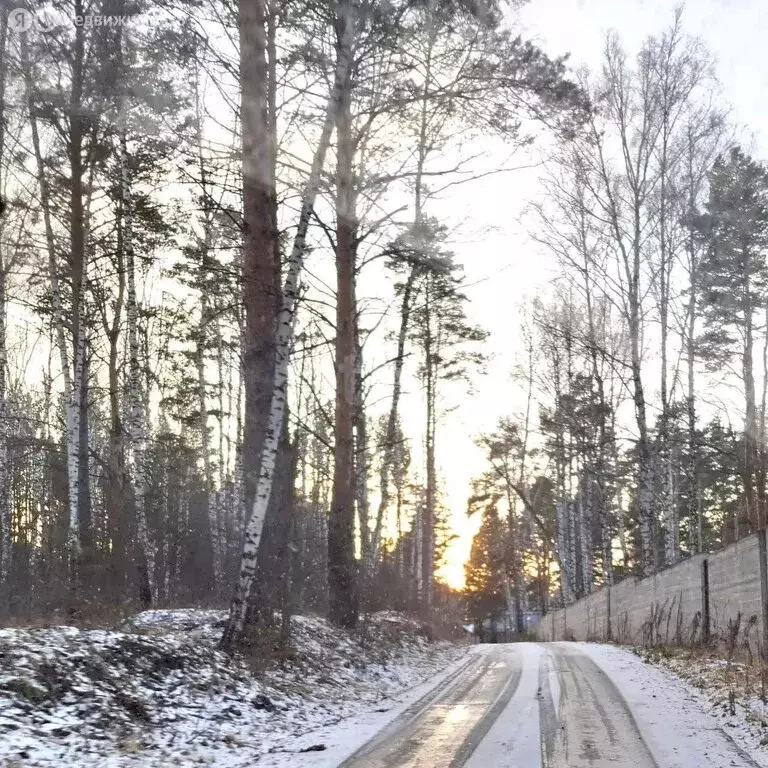 Участок в Тюменский муниципальный округ, село Кулига (12.65 м) - Фото 2