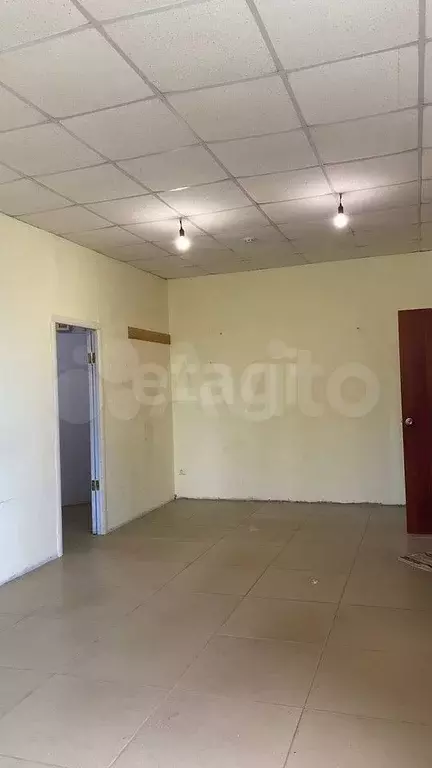 Сдам помещение свободного назначения, 90.1 м - Фото 1