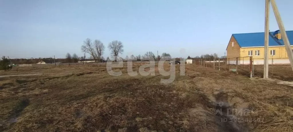 Участок в Брянская область, Навлинский район, пос. Синезерки Лесная ... - Фото 0