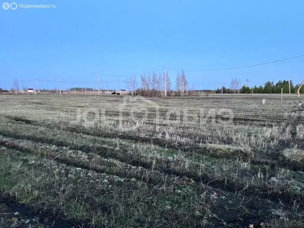 Участок в Республика Саха (Якутия), городской округ Якутск, село ... - Фото 1