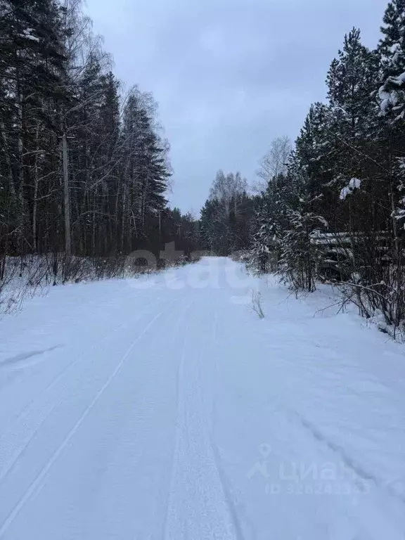Участок в Свердловская область, Ревда муниципальный округ, с. Кунгурка ... - Фото 1