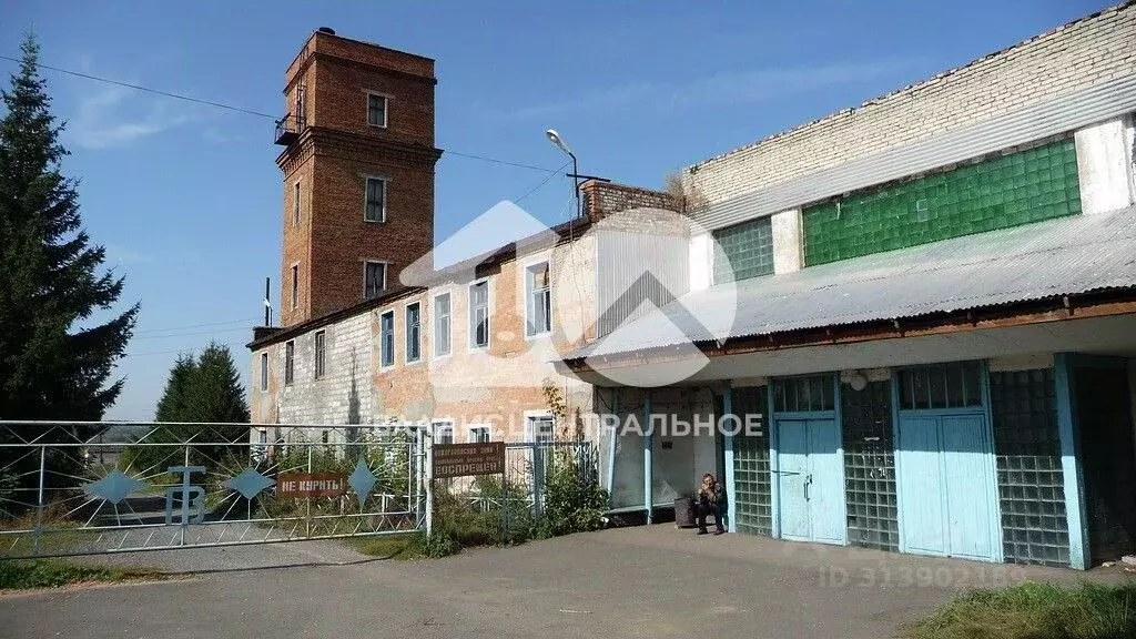 Производственное помещение в Новосибирская область, Тогучин ... - Фото 0