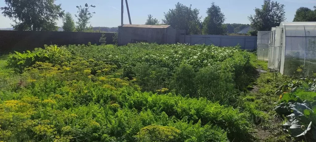 Участок в Кемеровская область, Кемеровский муниципальный округ, с. ... - Фото 2