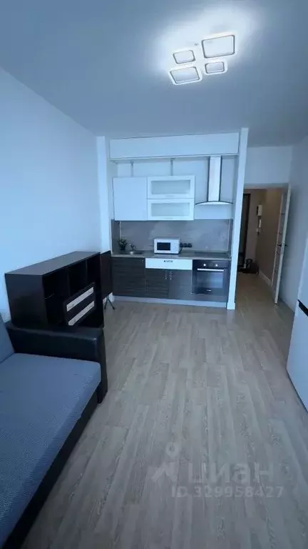 Студия Санкт-Петербург ул. Адмирала Трибуца, 7 (24.3 м) - Фото 2
