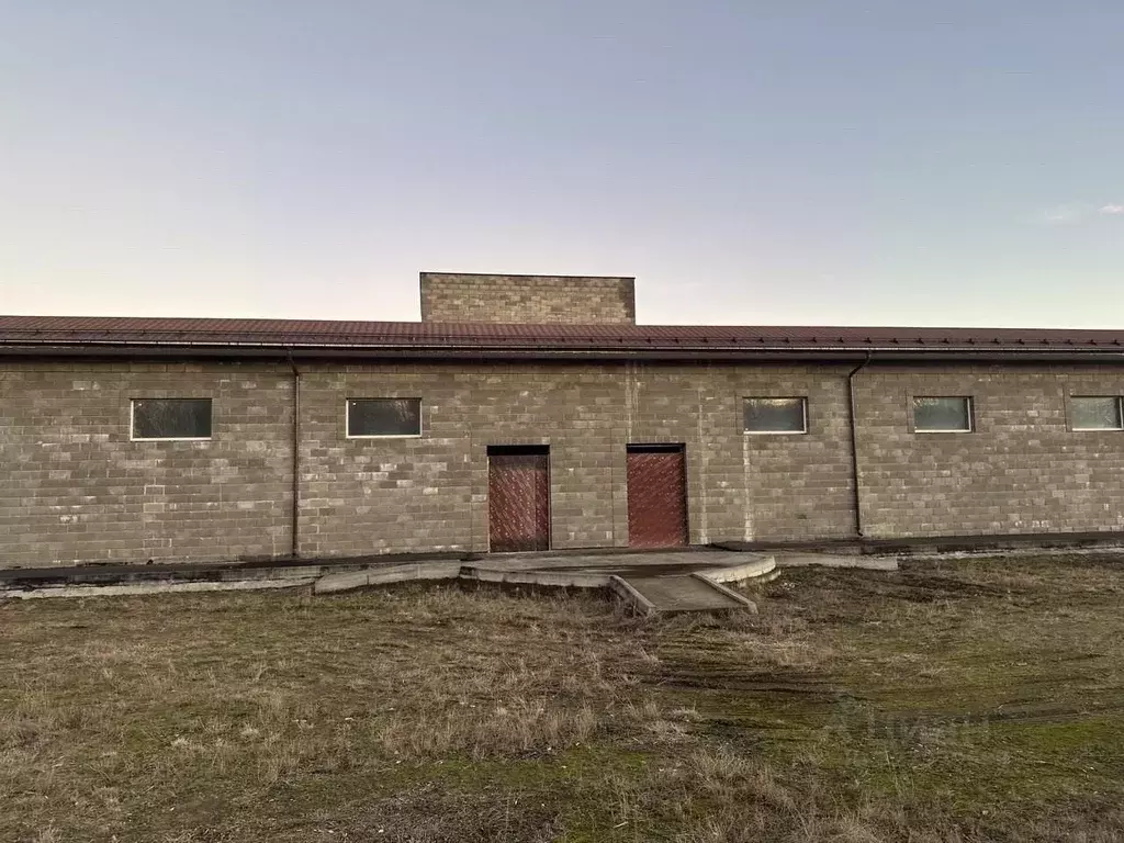 Помещение свободного назначения в Московская область, Раменское ... - Фото 1