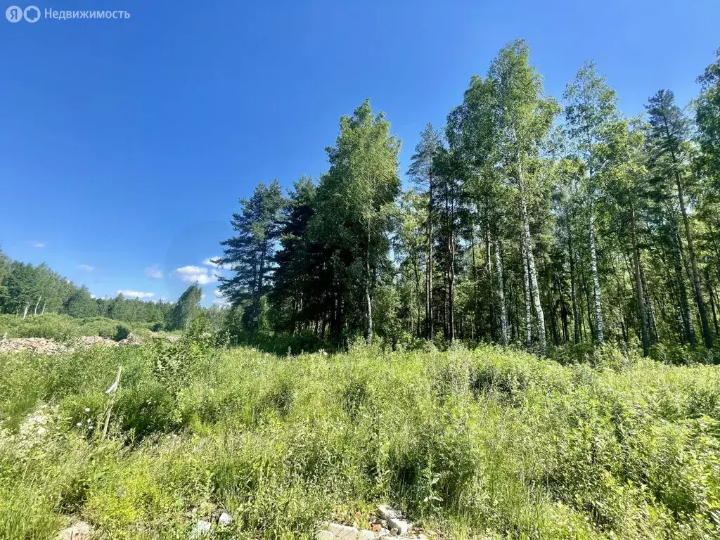 Участок в Раменский городской округ, деревня Минино (7.65 м) - Фото 0