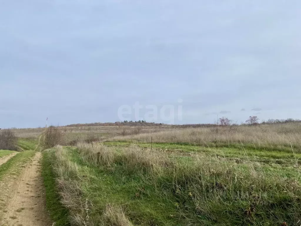 Участок в Крым, Симферопольский район, Перовское с/пос, с. Клиновка ... - Фото 2