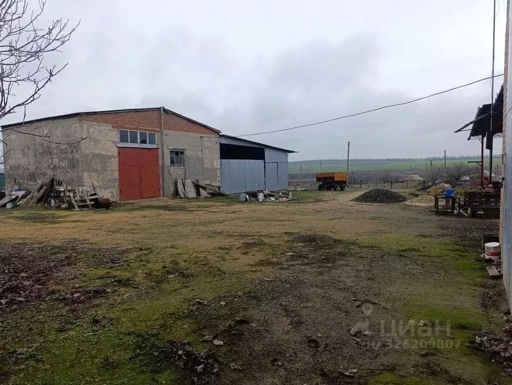 Производственное помещение в Ростовская область, Неклиновский район, ... - Фото 1
