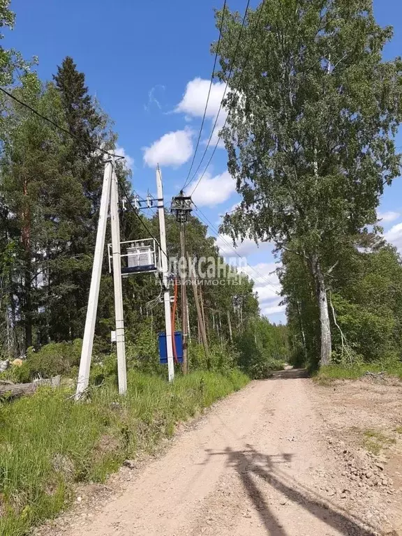 Участок в Ленинградская область, Всеволожский район, Куйвозовское ... - Фото 1