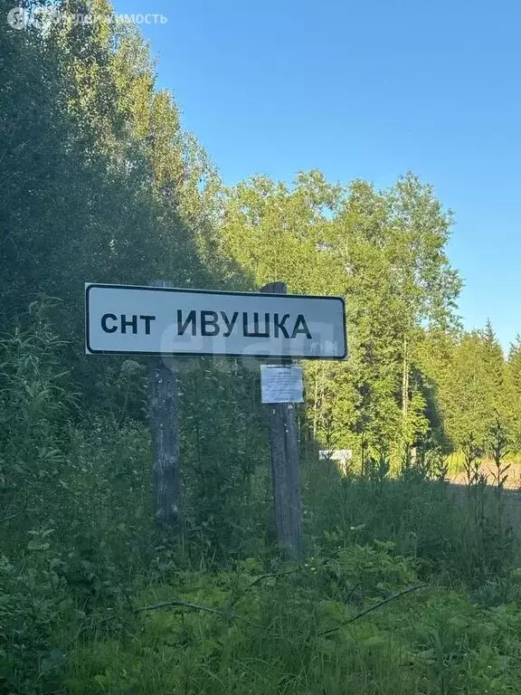 Участок в Архангельская область, Приморский муниципальный округ, СНТ ... - Фото 0