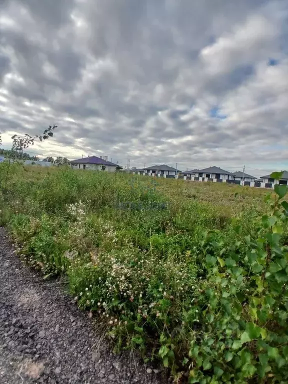 Участок в Москва № 177А кв-л, 238 (9.13 сот.) - Фото 1