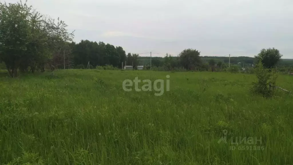 Участок в Тульская область, Тула Березовая Роща СНТ, (10.0 сот.) - Фото 0