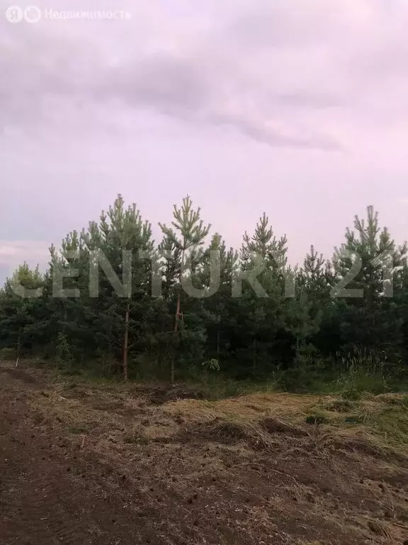 Участок в Чердаклинский район, Крестовогородищенское сельское ... - Фото 1
