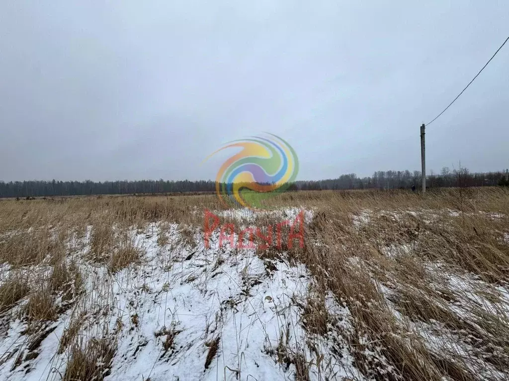 Участок в Ивановская область, Ивановский муниципальный округ, д. ... - Фото 2