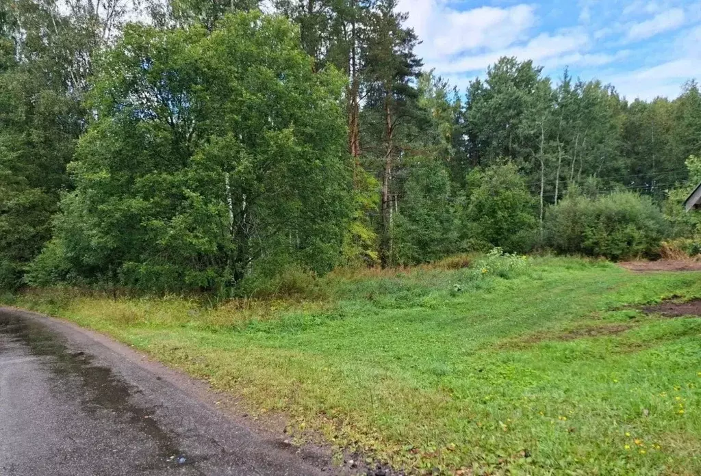 Участок в Ленинградская область, Выборгский район, Рощинское городское ... - Фото 2