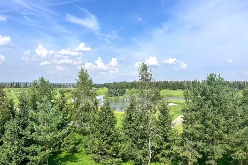 Участок в Московская область, Истра муниципальный округ, д. Захарово ... - Фото 2