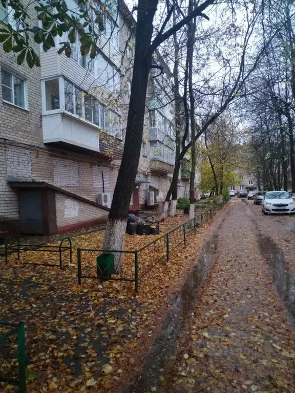 3-к кв. Калужская область, Балабаново г. Боровский муниципальный ... - Фото 2