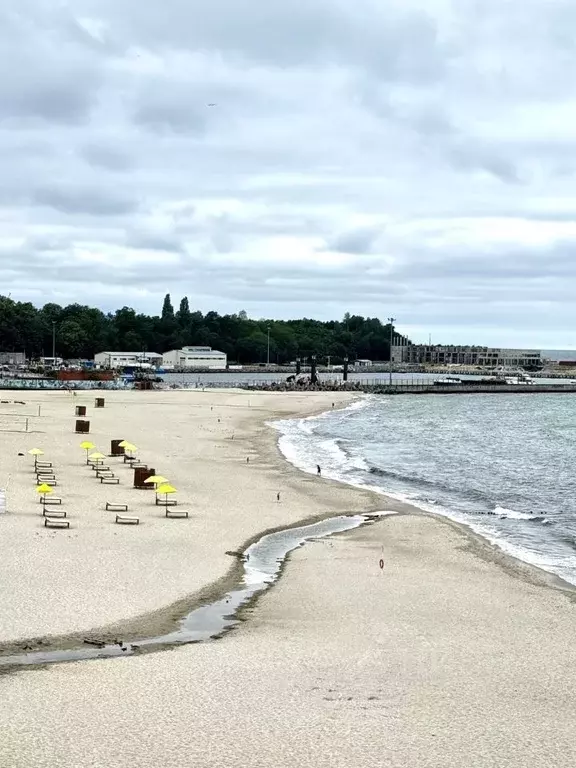 Студия Калининградская область, Пионерский Портовая ул., 5А (34.0 м) - Фото 1