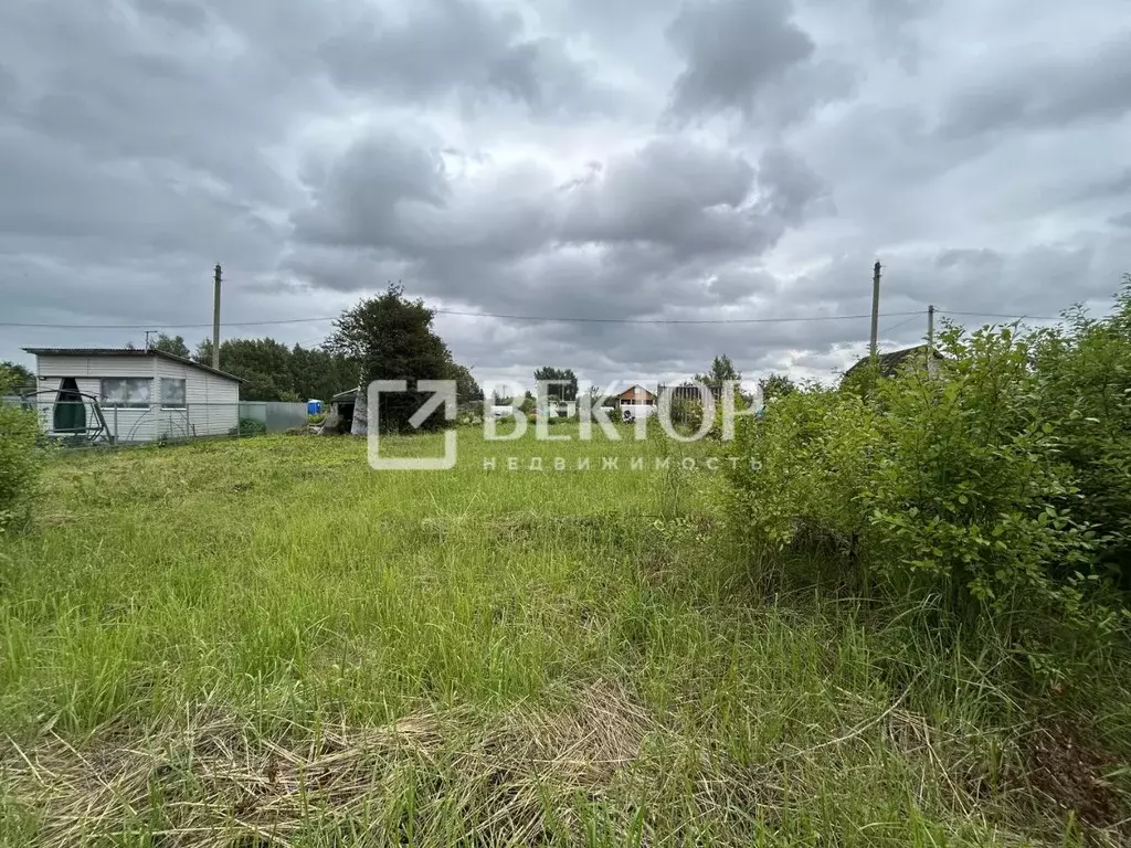 Участок в Костромская область, Костромской район, Сущевское с/пос, ... - Фото 1