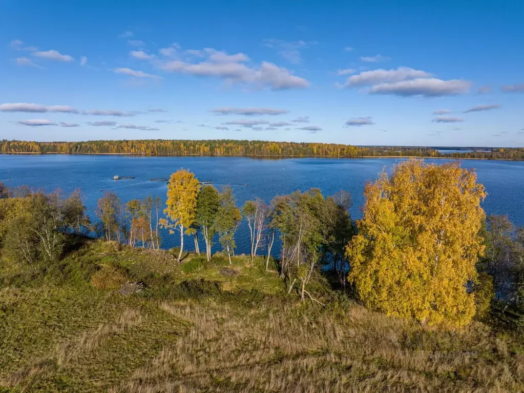 Участок в Ленинградская область, Приозерский район, Громовское с/пос, ... - Фото 0