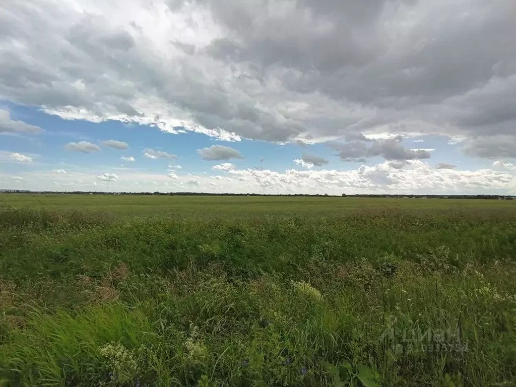 Участок в Ленинградская область, Всеволожский район, Колтушское ... - Фото 1