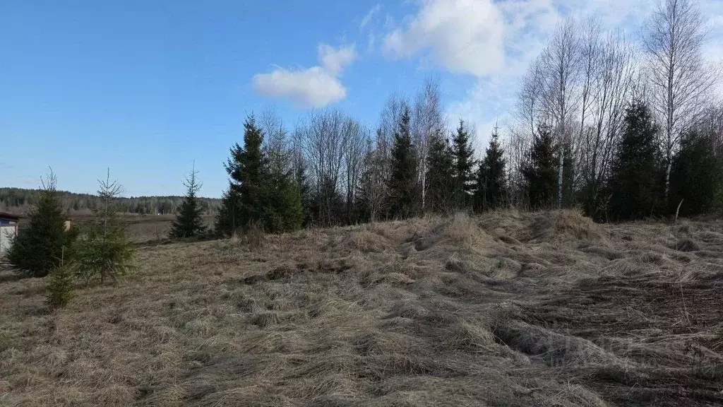 Участок в Московская область, Сергиево-Посадский городской округ, д. ... - Фото 0