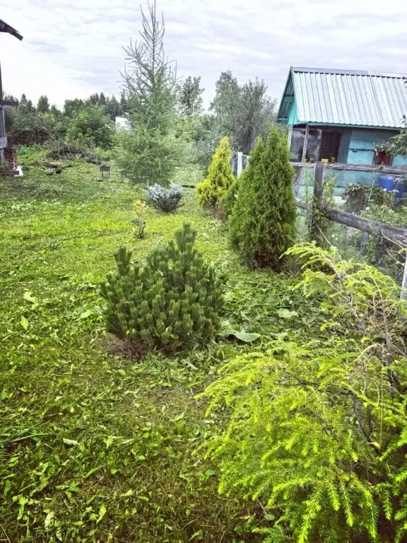 Дом в Кемеровская область, Кемерово Мичуринец СНТ, 400 (70 м) - Фото 2