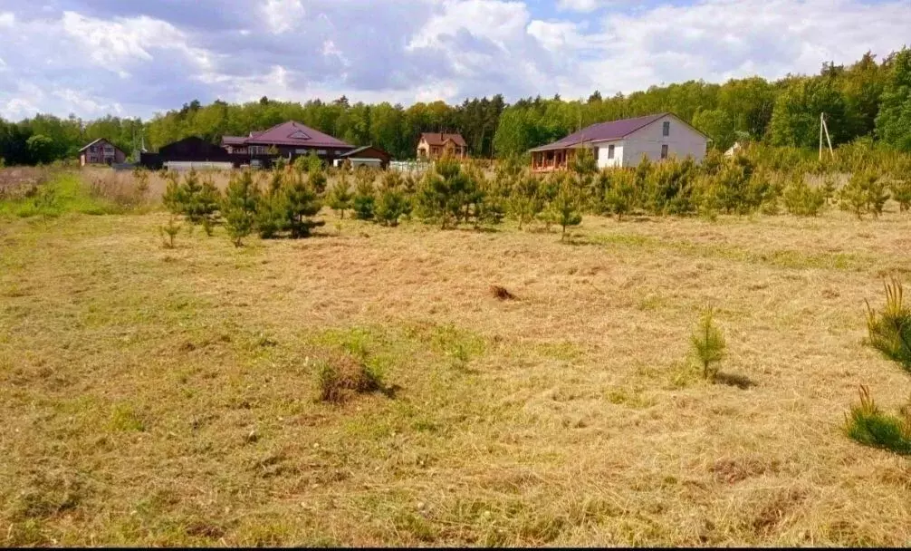Участок в Московская область, Коломна городской округ, д. Зиновьево ... - Фото 2