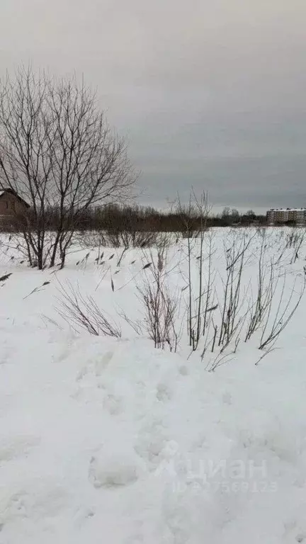 Участок в Ярославская область, Ярославский муниципальный округ, пос. ... - Фото 2
