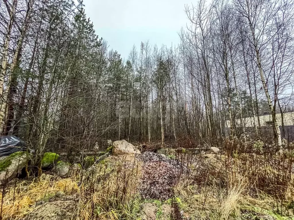 Участок в Ленинградская область, Выборгский район, Полянское с/пос, ... - Фото 1