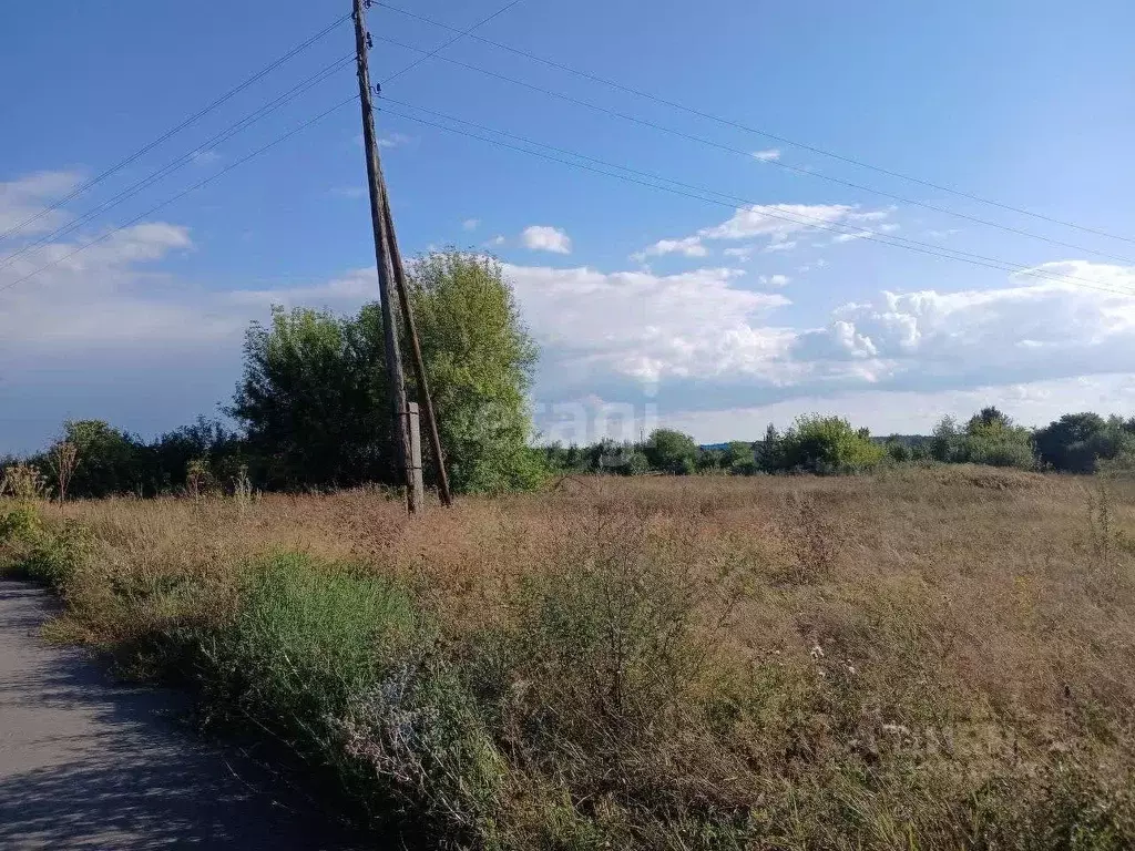 Участок в Белгородская область, Валуйский городской округ, с. Шелаево ... - Фото 1