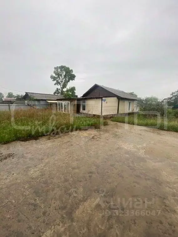 Дом в Амурская область, Октябрьский муниципальный округ, с. ... - Фото 1