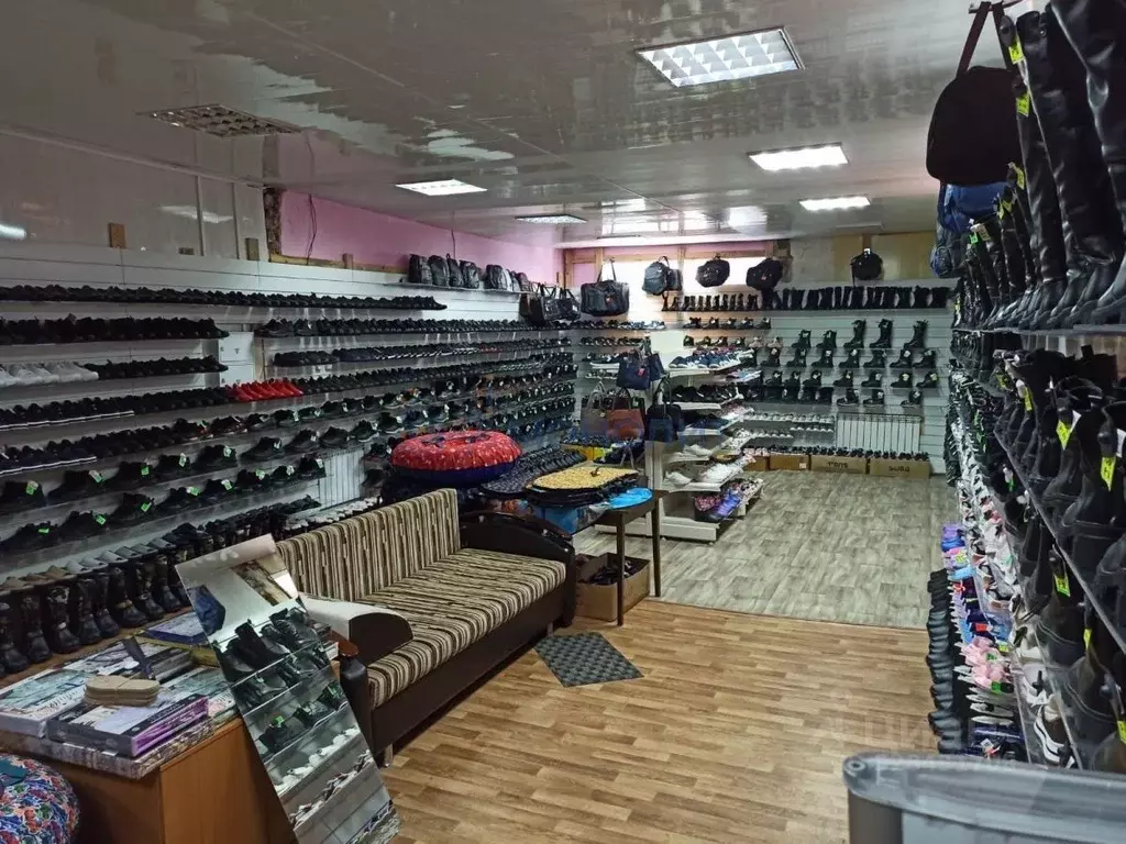 Помещение свободного назначения в Нижегородская область, с. Гагино ул. ... - Фото 2