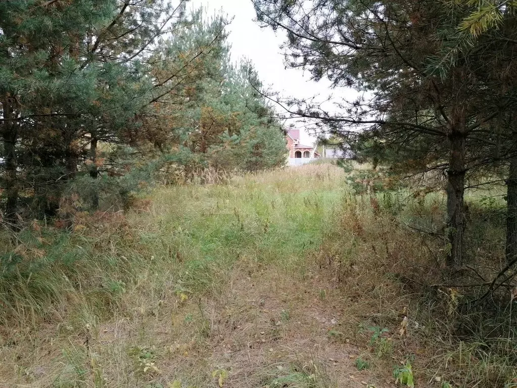 Участок 10 сот. (ИЖС) - Фото 0