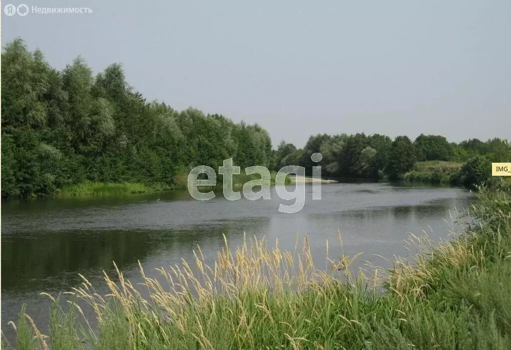 Участок в Синодское муниципальное образование, село Кошели (19 м) - Фото 0